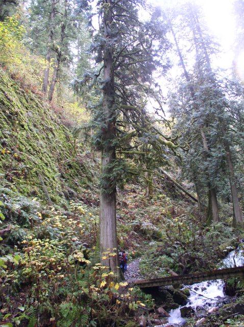 10.28.05 Devil's Rest 035 